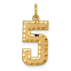 14k Yellow Gold, Varsity Collection, Large D/C Pendant Number 5